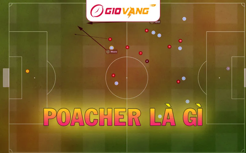 Poacher là gì? Tìm hiểu vai trò của tiền đạo săn bàn cấm địa trong bóng đá hiện đại